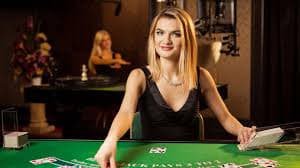 556bet