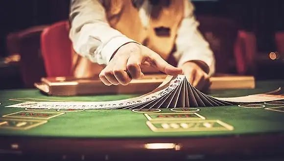 556bet
