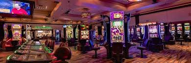 556bet