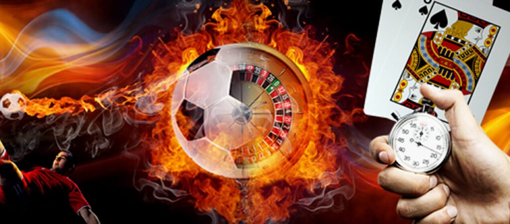 556bet