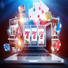 556bet – Trải nghiệm cá cược đỉnh cao tại Việt Nam
